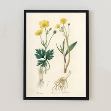 1836 Botanical Vintage