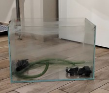 acquario completo usato con mobile bianco Amtra pompa e luce condiI