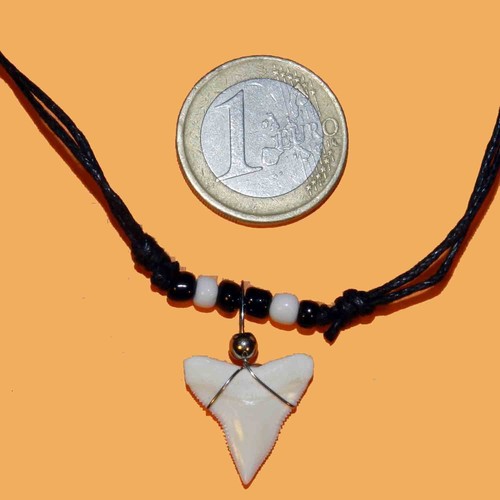 Collana dente squalo - collana,