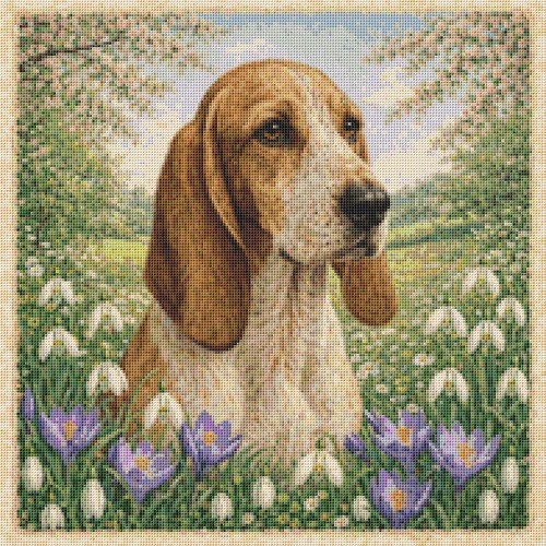 Cane cucciolo segugio italiano - cane,