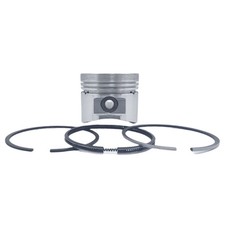 PISTON + PISTON RING SET (STD)