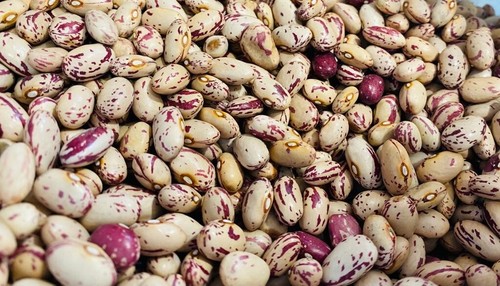 Fagioli borlotti italiani - ,
