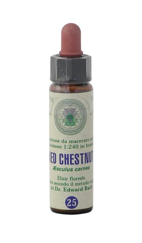 Red chestnut 25 princeps - red,