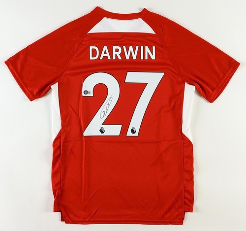 Maglia calcio darwin nunez - calcio,