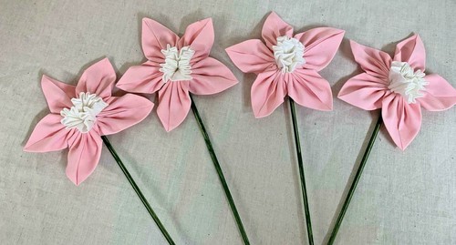 Narcisi/Fiori/Rosa-Bianco/Fatt