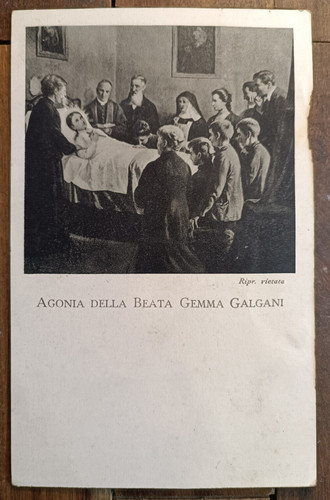 1949 lucca gemma - lucca,