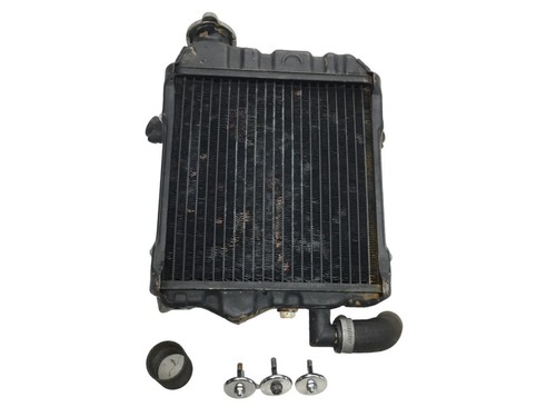 Radiatore acqua honda 650 - acqua, cx