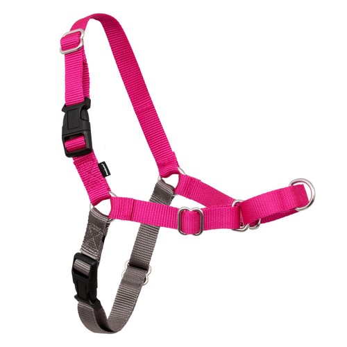 Petsafe easy walk imbracatura - walk,