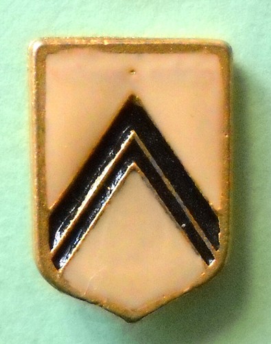 Distintivo spilla pin badge - spilla,