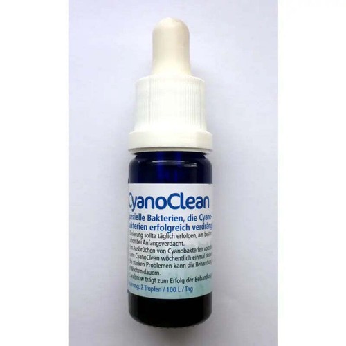 Korallen zucht cyano clean - clean,