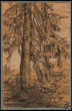 DISEGNO ORIGINALE CARBONCINO 1800 PAESAGGIO ALBERO