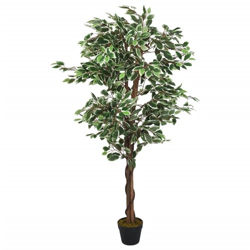 Albero ficus artificiale - albero,