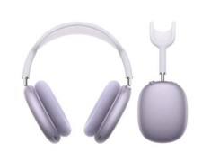 Apple Airpods Pro Max Purple