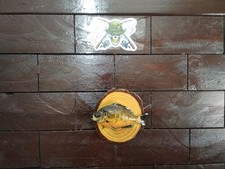 Bluegill Wall Mount – Real
