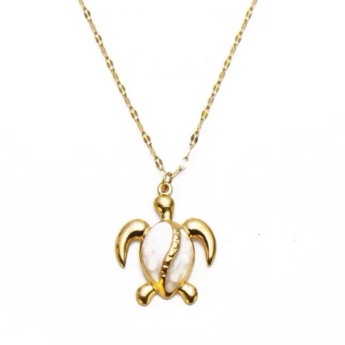 Collana catena acciaio inox - collana,