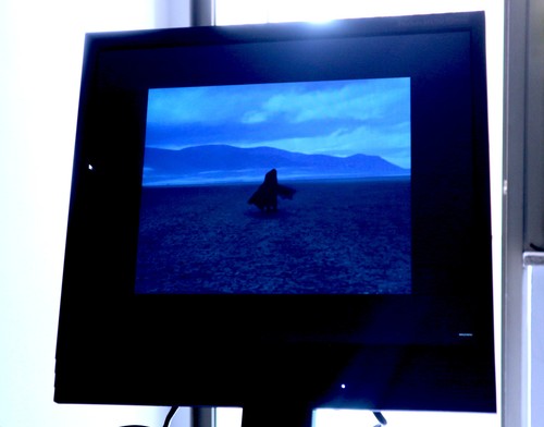 Monitor professionale eizo - monitor,