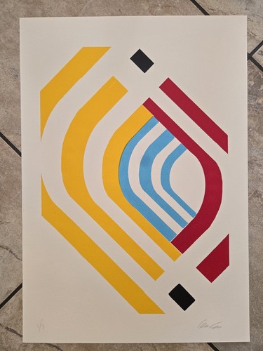 Serigrafia arte ispirata - serigrafia, d'arte