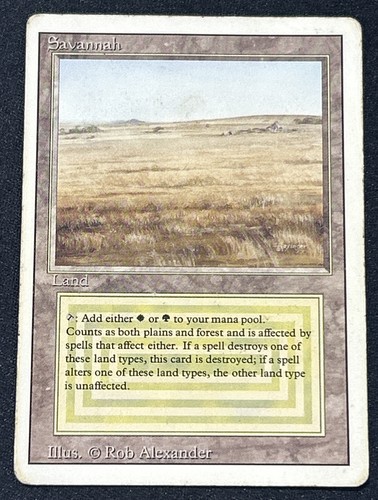 Mtg savannah revised - savannah,