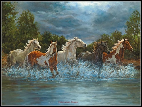 Cavalli storm crossing - cavalli,