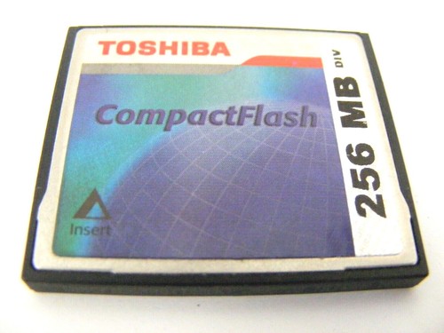 256mb compact flash scheda - flash, cf