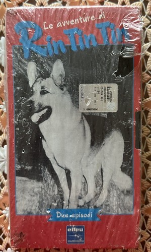 Avventure rin tin - di,