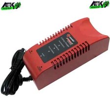 Caricabatteria Mantenitore di