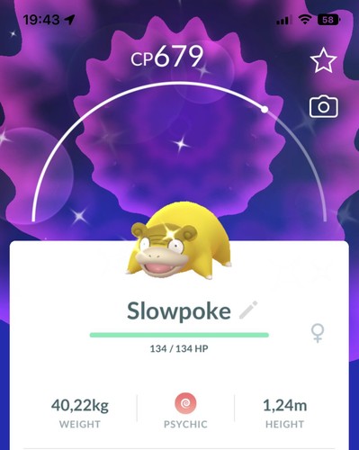 Shiny galarian slowpoke - shiny,
