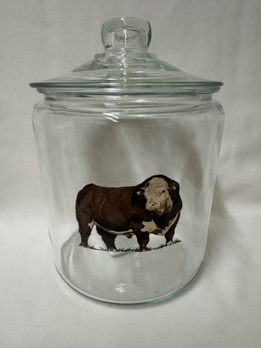 Hereford bull canister - canister, 🤠