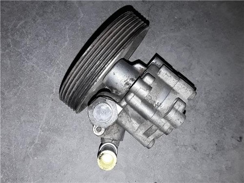 Pompa servosterzo citroen - pompa,