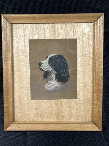 Spaniel dog art litografia - spaniel,