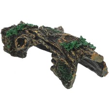 Accessori Per Rettili