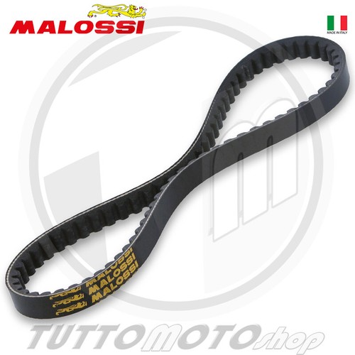 6116665 cinghia malossi k - cinghia,