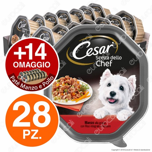 Cesar scelta dello - cesar, chef