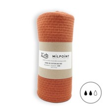 Coupon Absorbant moyen (MD)