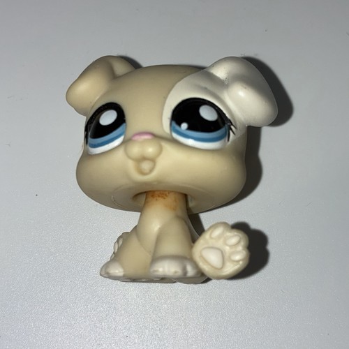 Littlest pet shop lps - shop,