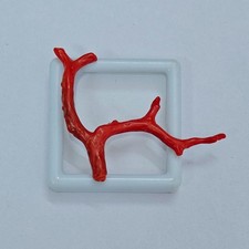 Ramo corallo rosso - di, lucido