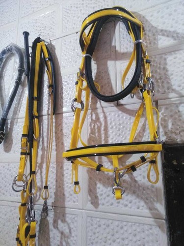 Briglia resistenza con - resistenza,