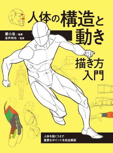 Introduction drawing human - introduction,