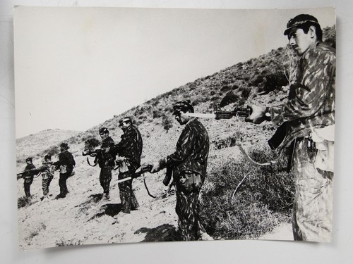Palestinian guerrillas - palestinian,
