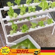 36 Piante Hydroponic Grow