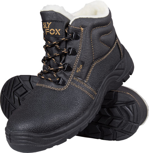 Sly fox isolato - fox, da