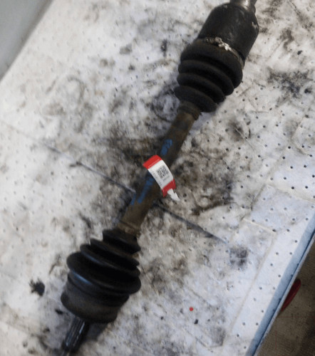 46307368 semialbero ant - 46307368,