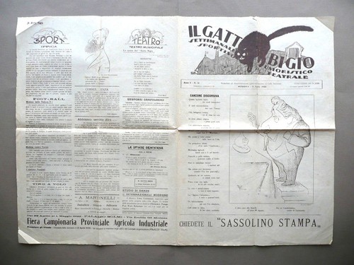 Gatto bigio giornale - gatto,