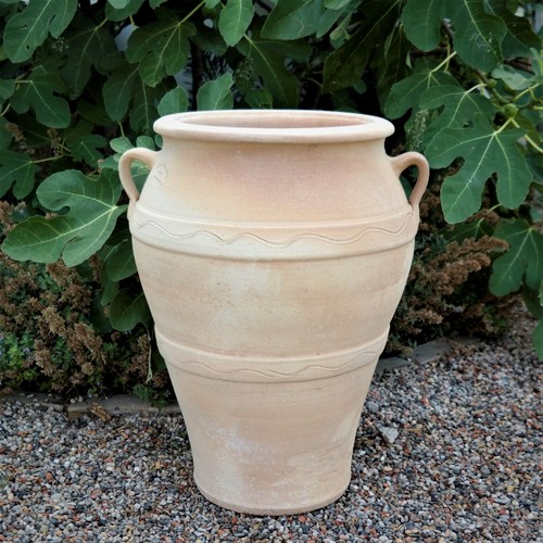 Anfora terracotta olea - in,