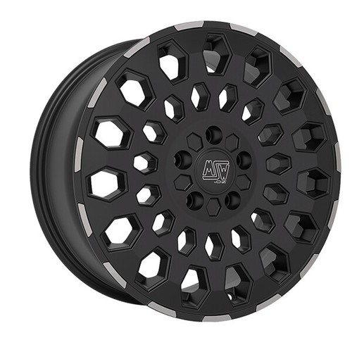 Cerchio lega msw - in, 99