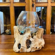 Vaso orchidea vetro radice