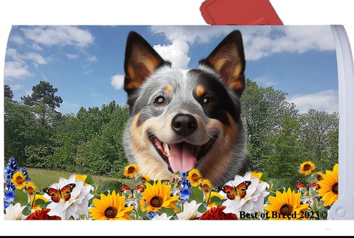 Copertina cassetta postale