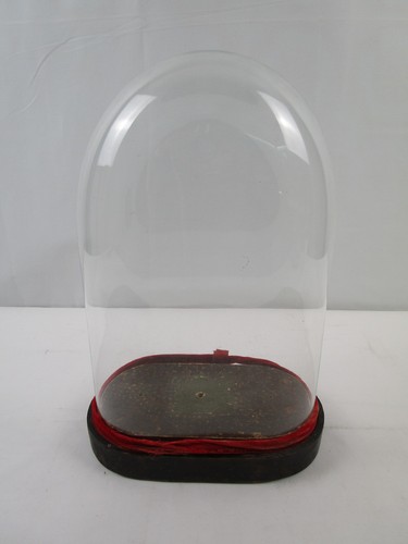 Cupola stolp vetro con - cupola,