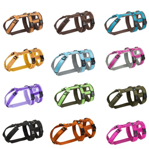 Anny pettorina safety fun - pettorina, |