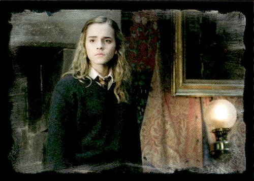 Figurina harry potter ordine - figurina,